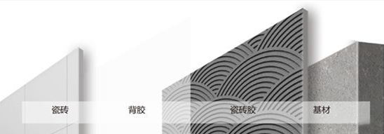 背胶层.jpg