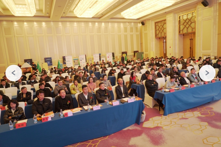 既有建筑修缮技术发展交流会（武汉站）于12月12日成功举办 - 嘉贝乐